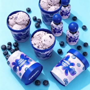 Blueberry Sorbet