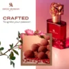 B09NHNLSYG.PT04 Rose 01 Extrait de Parfum